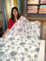 Georgette Organza Saree/ DD32