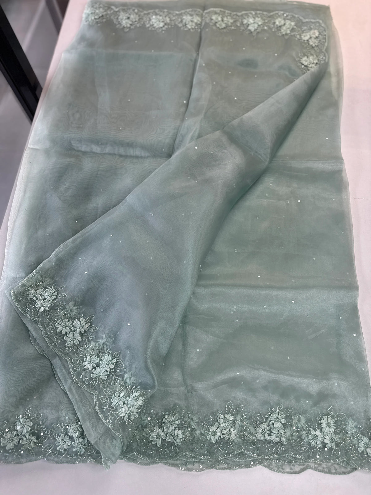 Glass Organza Saree/ HW23