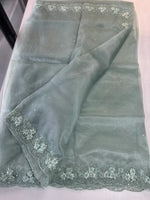 Glass Organza Saree/ HW23