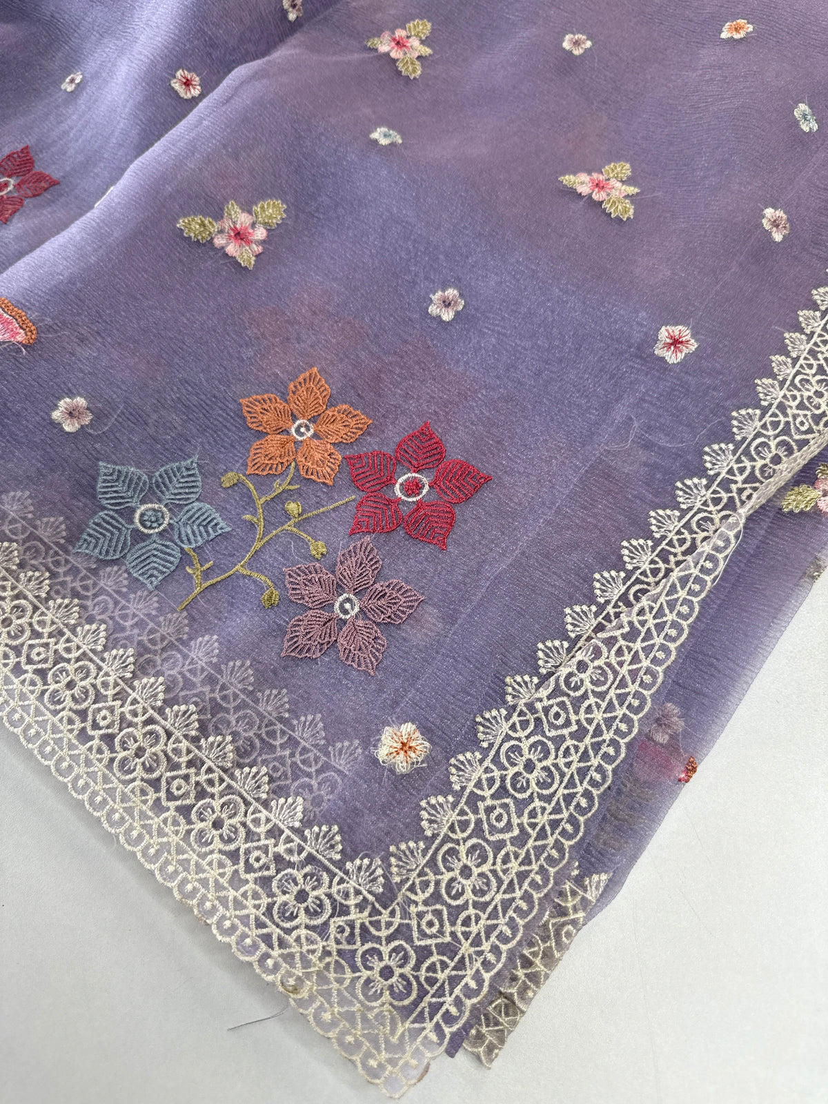 Crushed Tissue Saree/ CW323