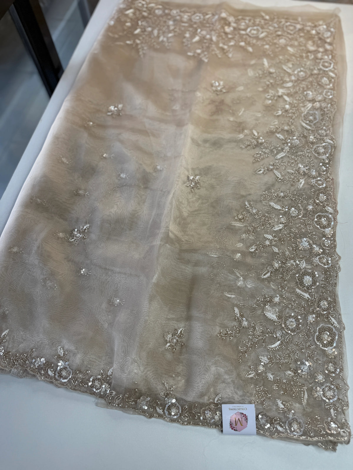 Glass organza Saree/AP810