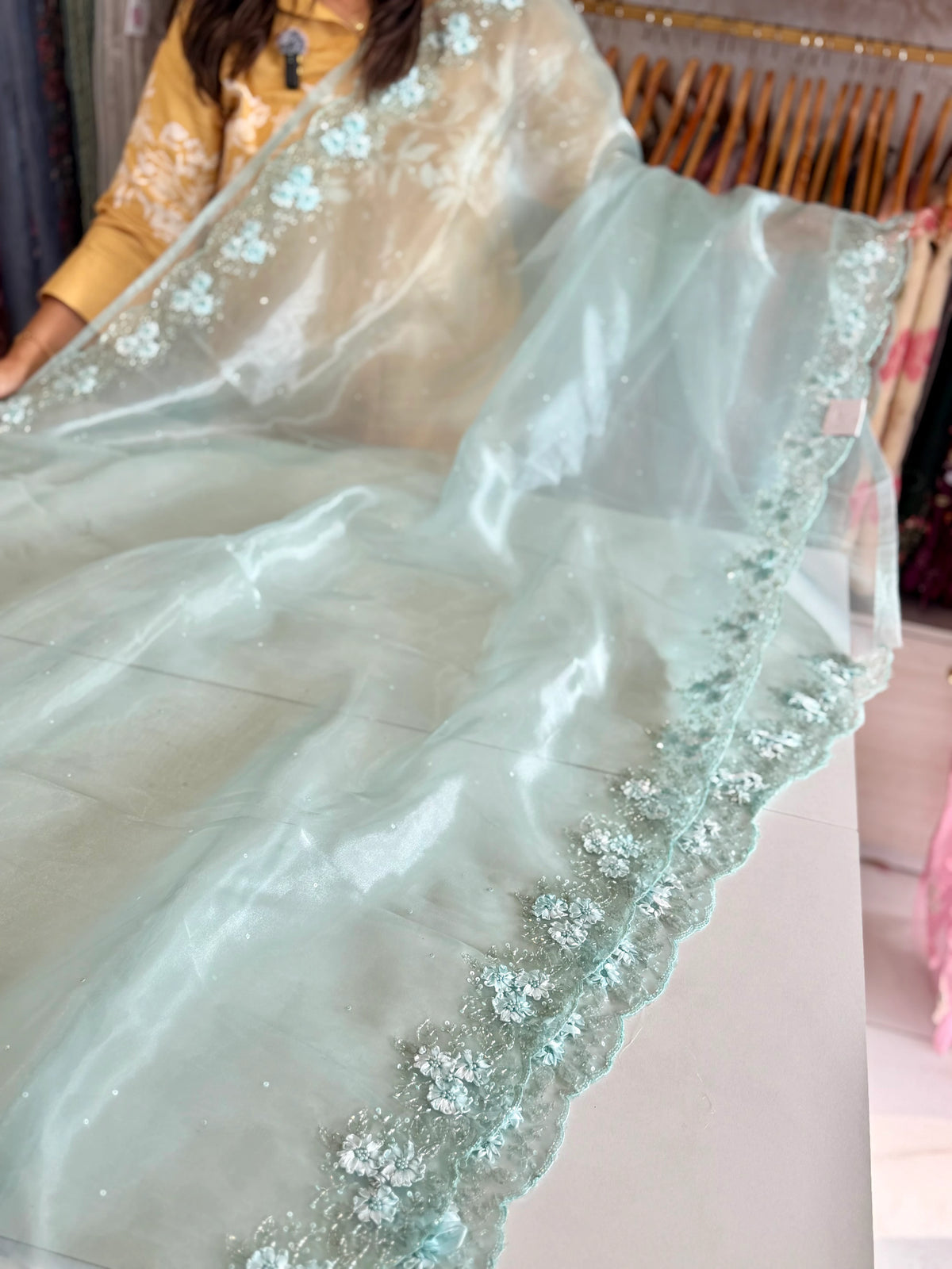 Glass Organza Saree/ HW23