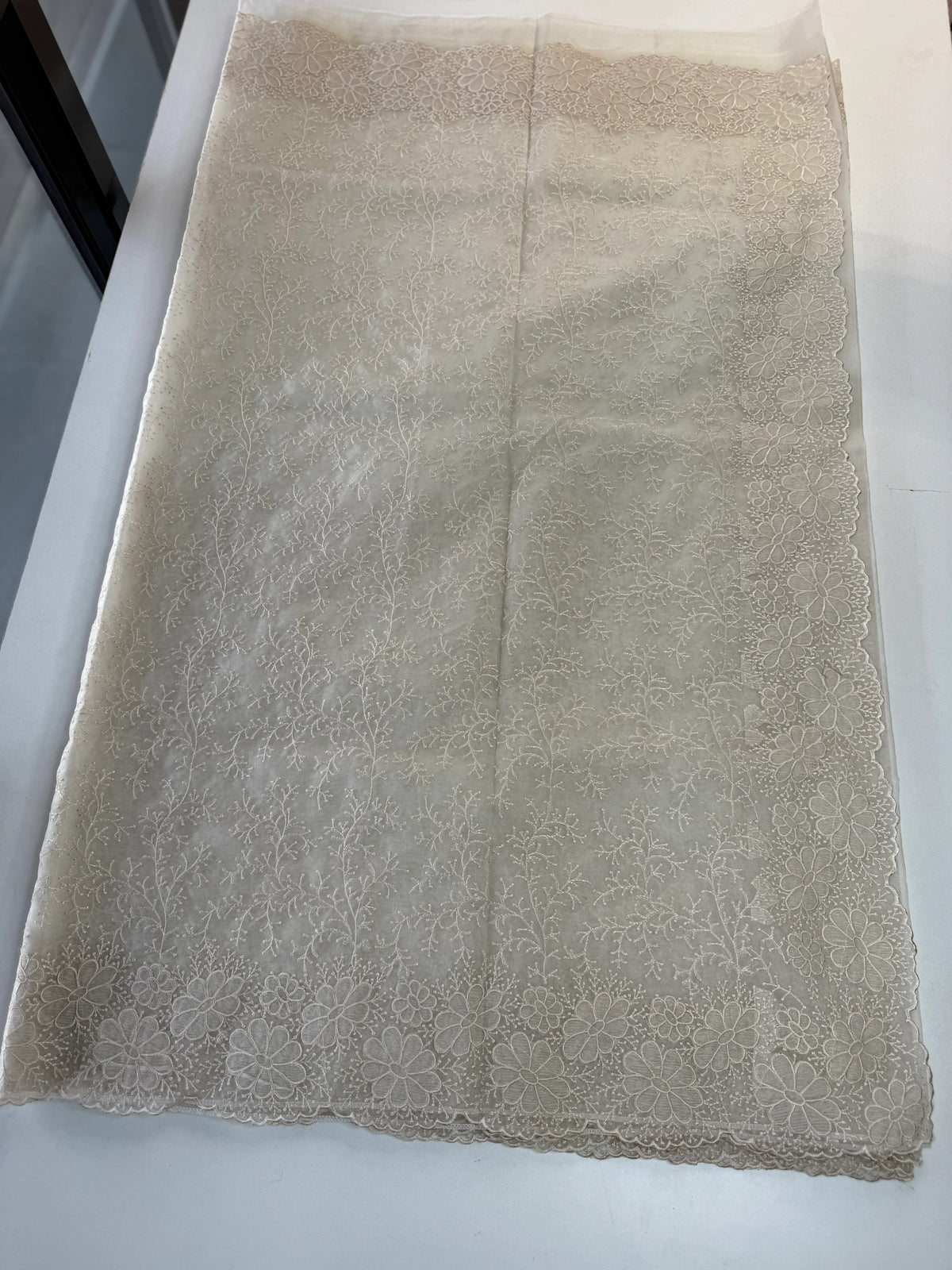 Organza Saree/ CW436