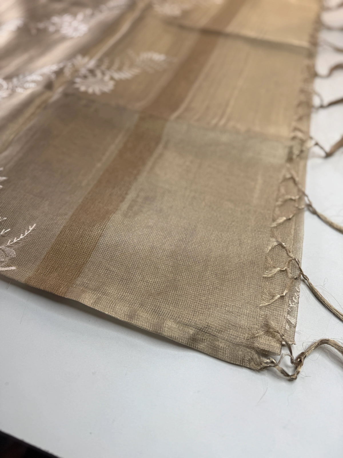Tissue Saree/RKF36