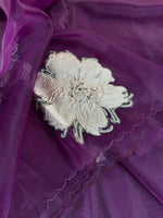 Glass Organza Saree/ KB24