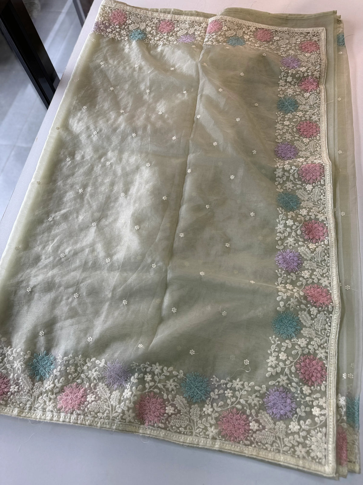 Soft oragnza saree/ CW1055