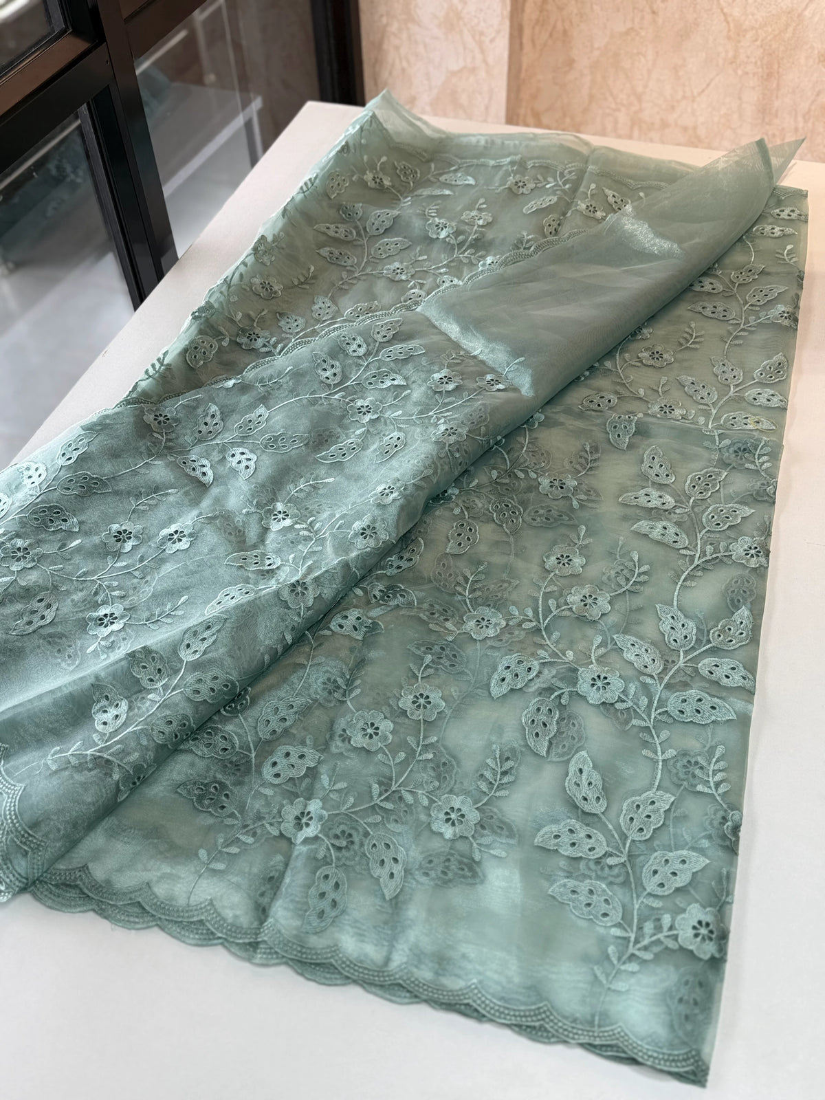 Organza Saree/GCW48