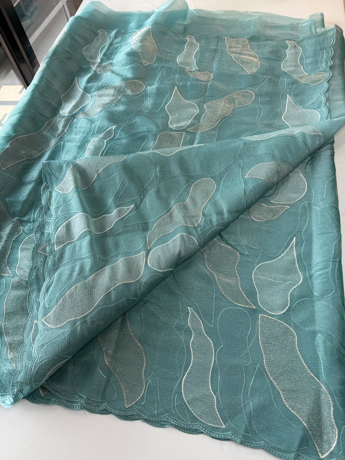 organza saree/ CW473