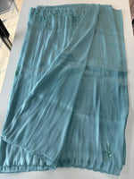 Tissue Organza Saree/ W319