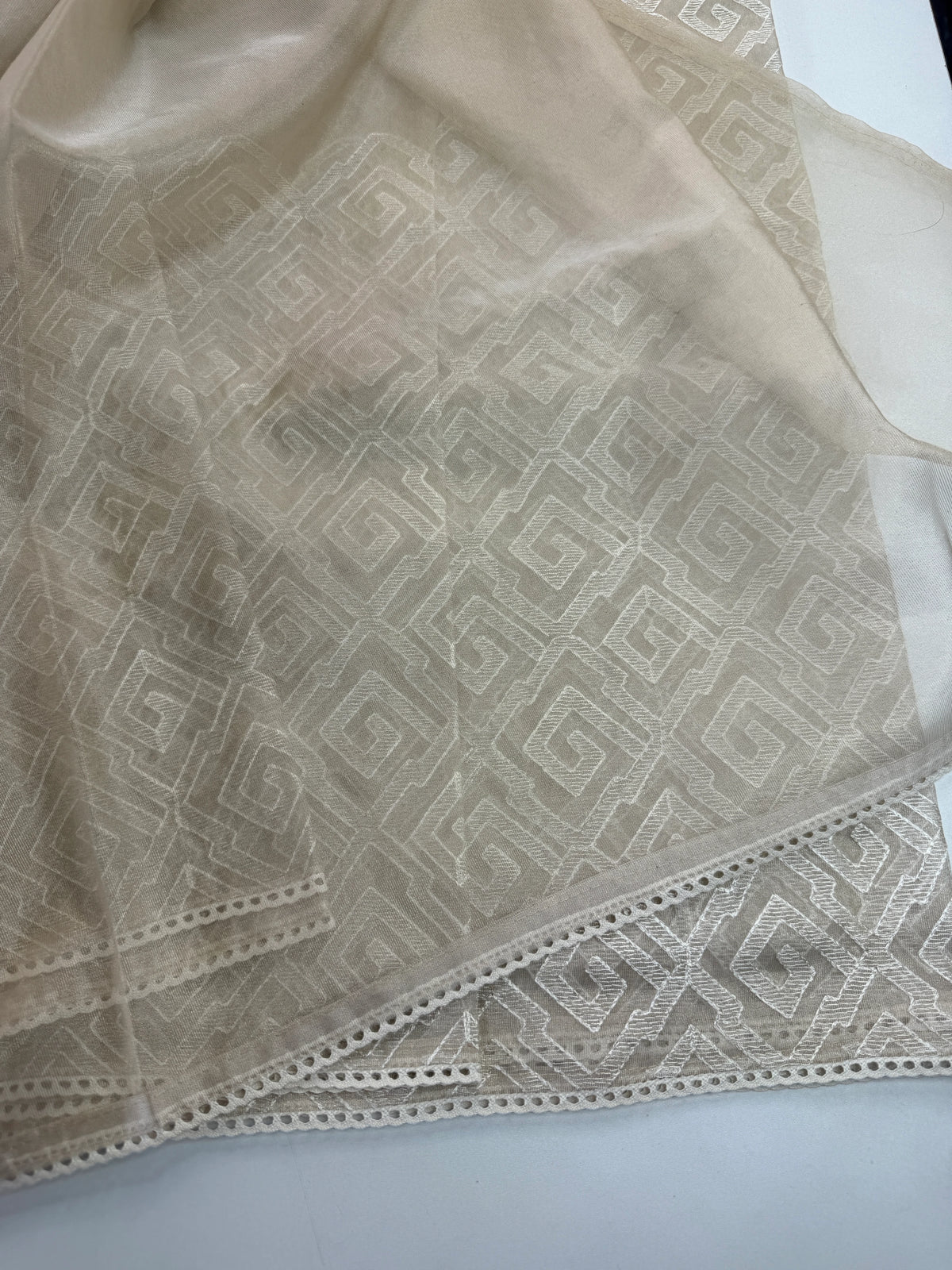 Tissue bledned soft Organza saree / SH898