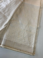 Soft Semi Tussar Saree/FC839