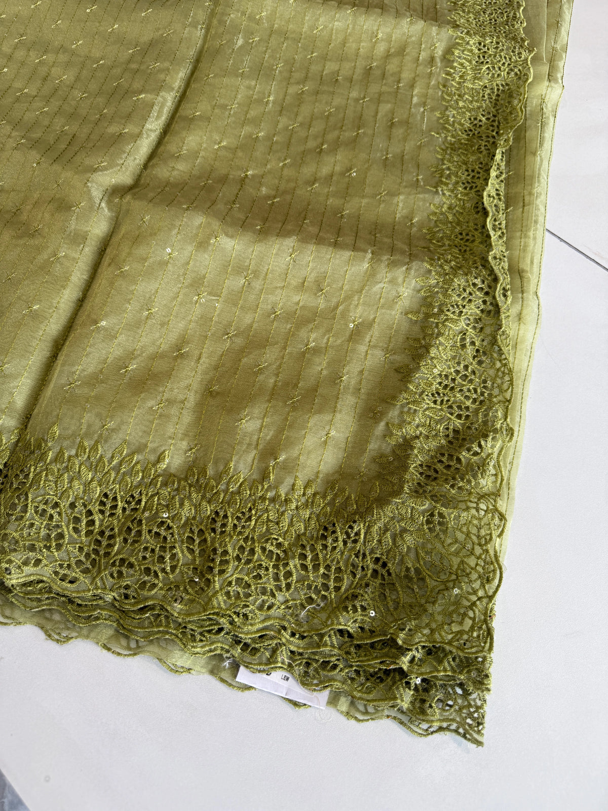 Soft Organza Saree/ Cw055