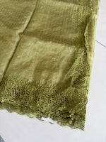 Soft Organza Saree/ Cw055