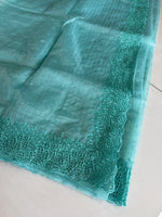 Soft Organza Saree/ Cw055