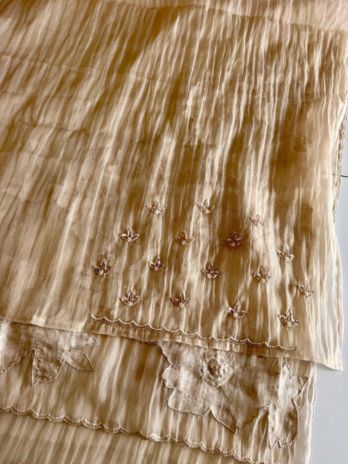 Crushed Organza Saree/ AM118