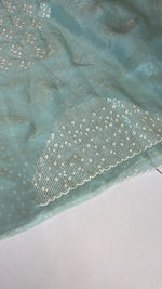 Satin organza saree/ 5509