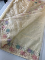 Soft oragnza saree/ CW1055
