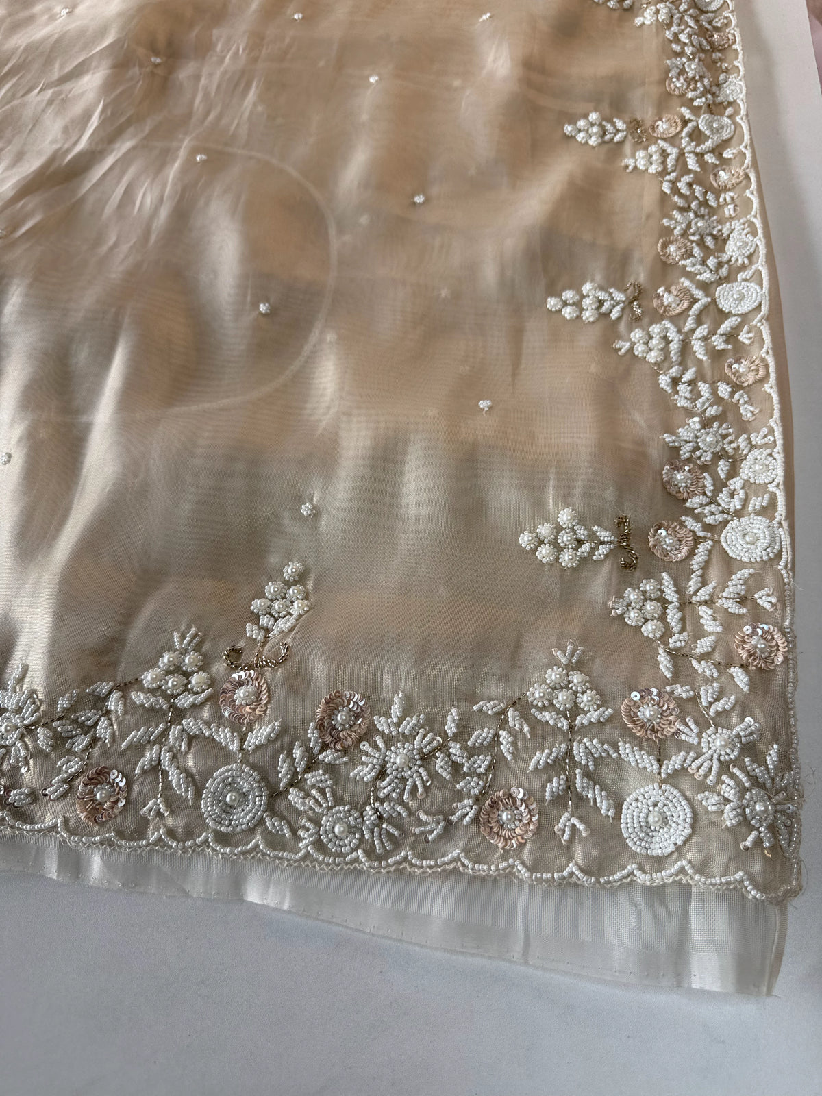 Tissue organza Saree/SA001