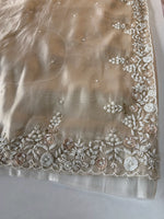 Tissue organza Saree/SA001