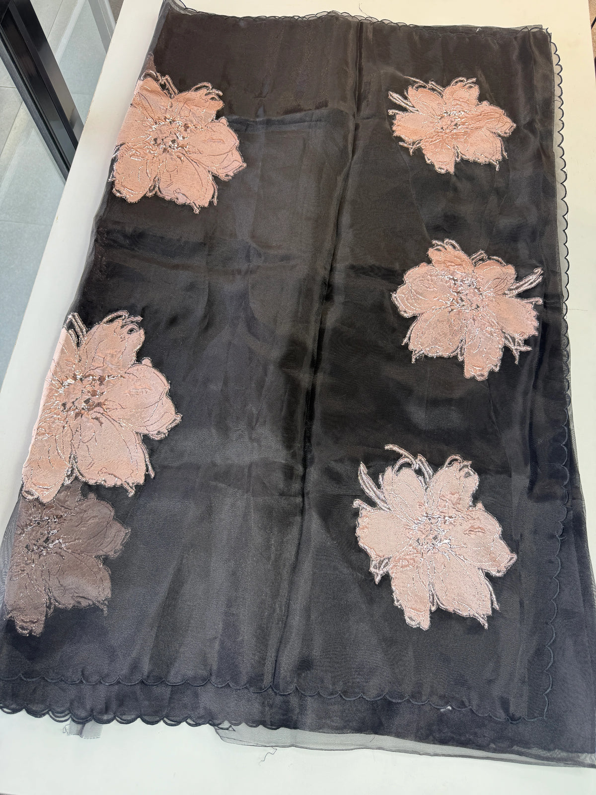 Glass Organza Saree/ KB24