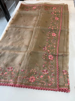 Glass Organza Saree/ 373A