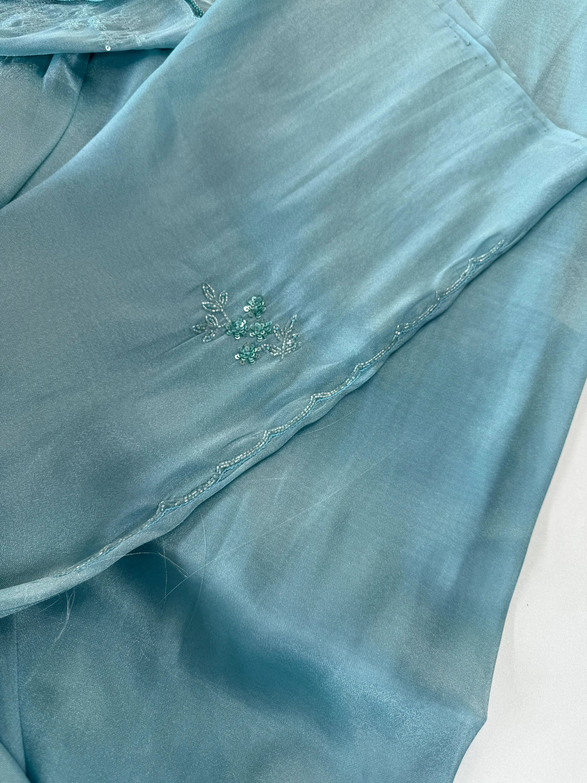 Tissue Organza Saree/ W319