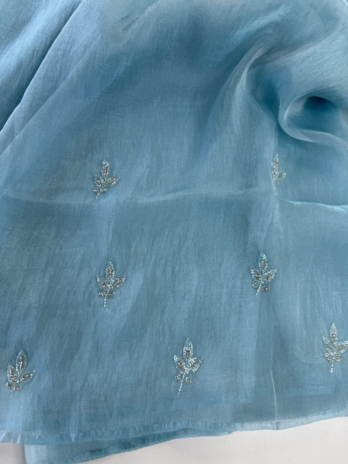 Korean Organza Saree/HW402