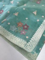 Crushed Tissue Saree/ CW323