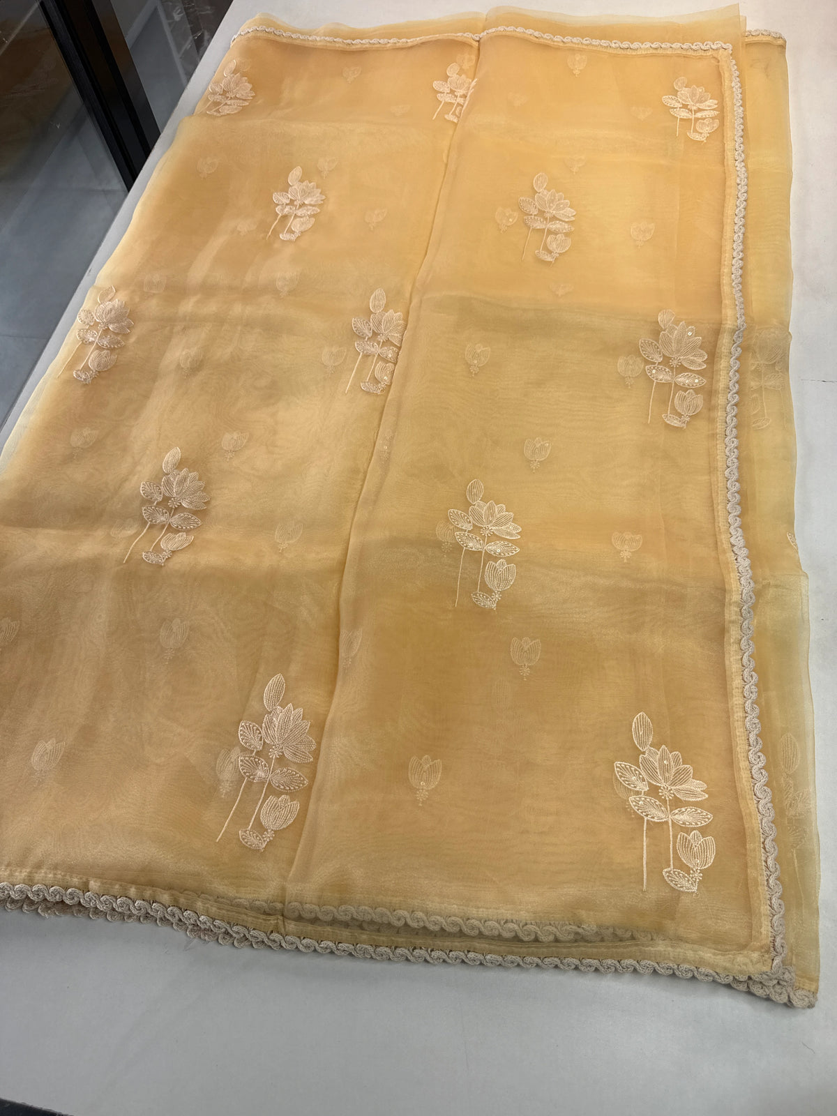 Glass Organza Saree/ CW666
