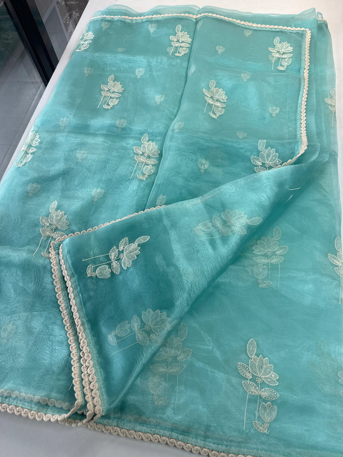 Glass Organza Saree/ CW666