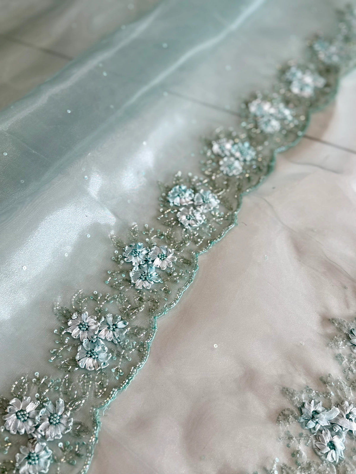 Glass Organza Saree/ HW23