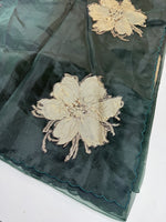 Glass Organza Saree/ KB24
