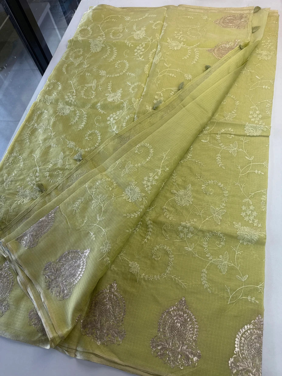 Silky kotta / ACN02/B