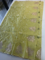 Silky kotta / ACN02/B