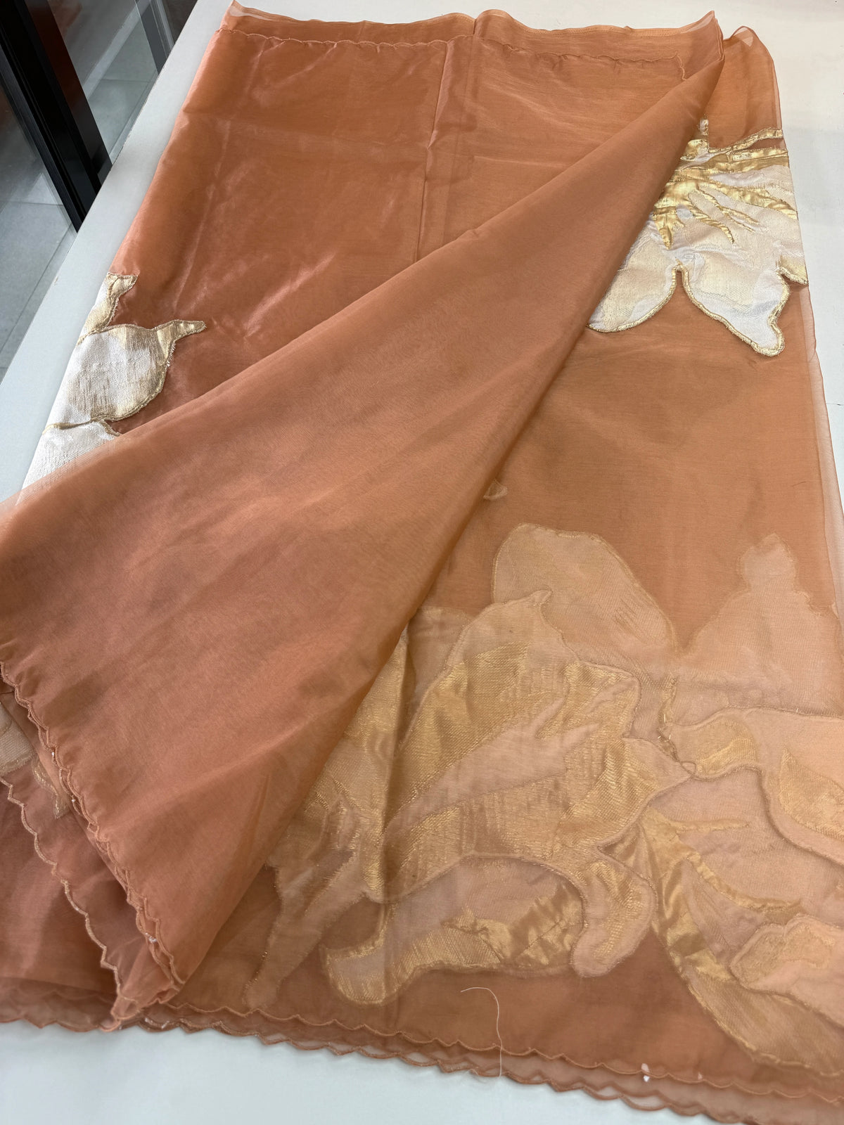 Soft oragnza saree/LK50