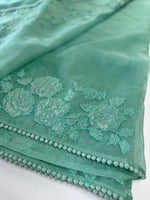 Soft organza saree/ Mu003