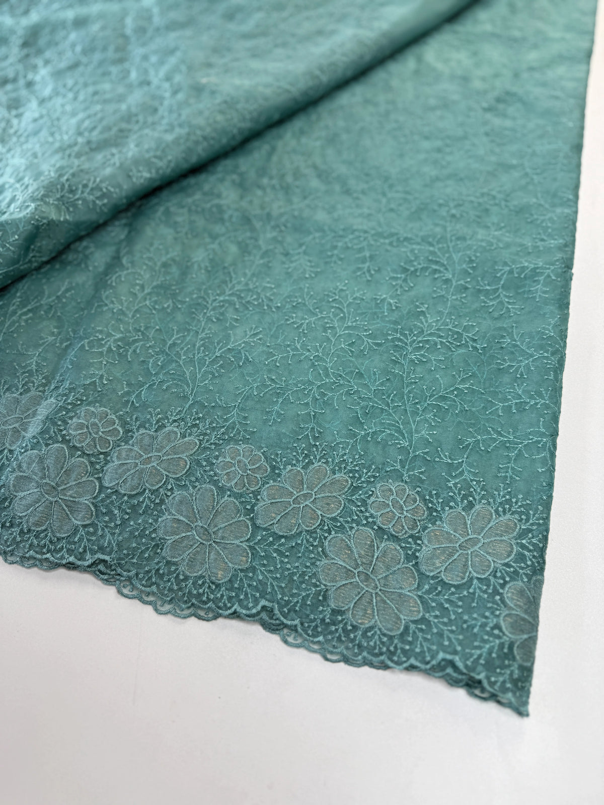 Organza Saree/ CW436