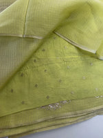 Silky kotta / ACN02/B