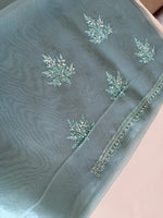 Glass Organza Saree/SP86