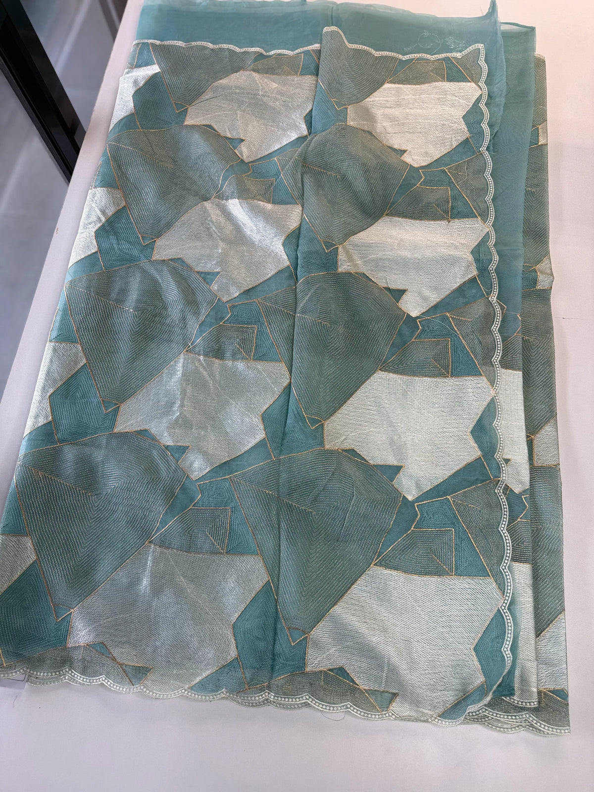 Soft organza Saree / CW330