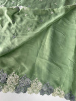 Chiffon saree / CW040