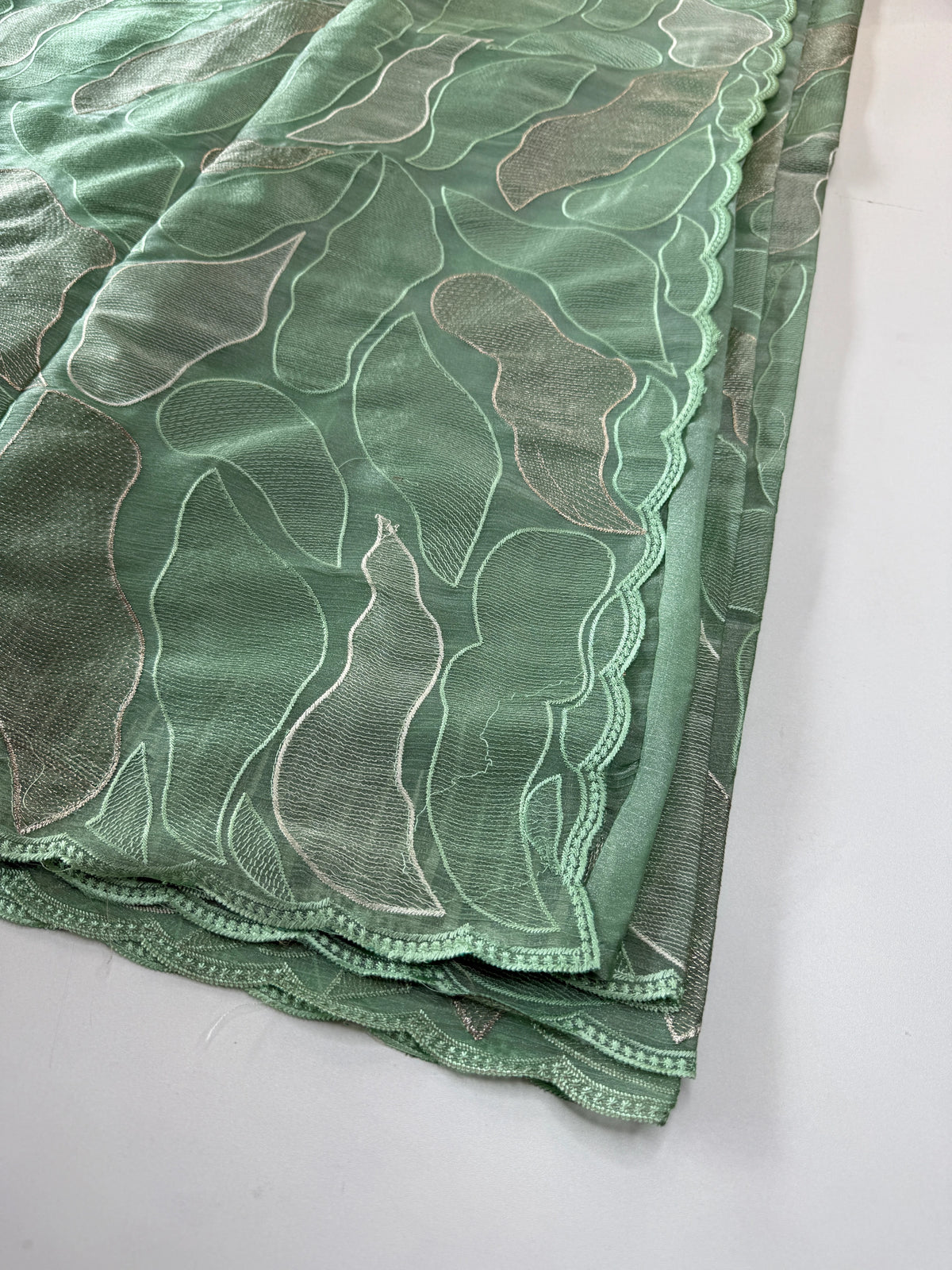 organza saree/ CW473