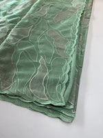 organza saree/ CW473