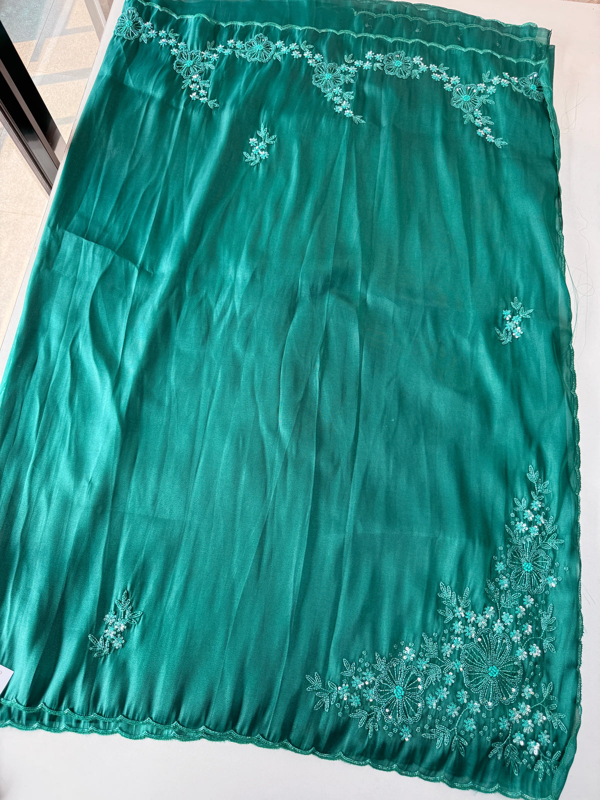 Tissue organza Saree/ HW319