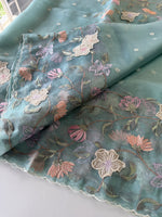 Glass organza Saree/ 155F
