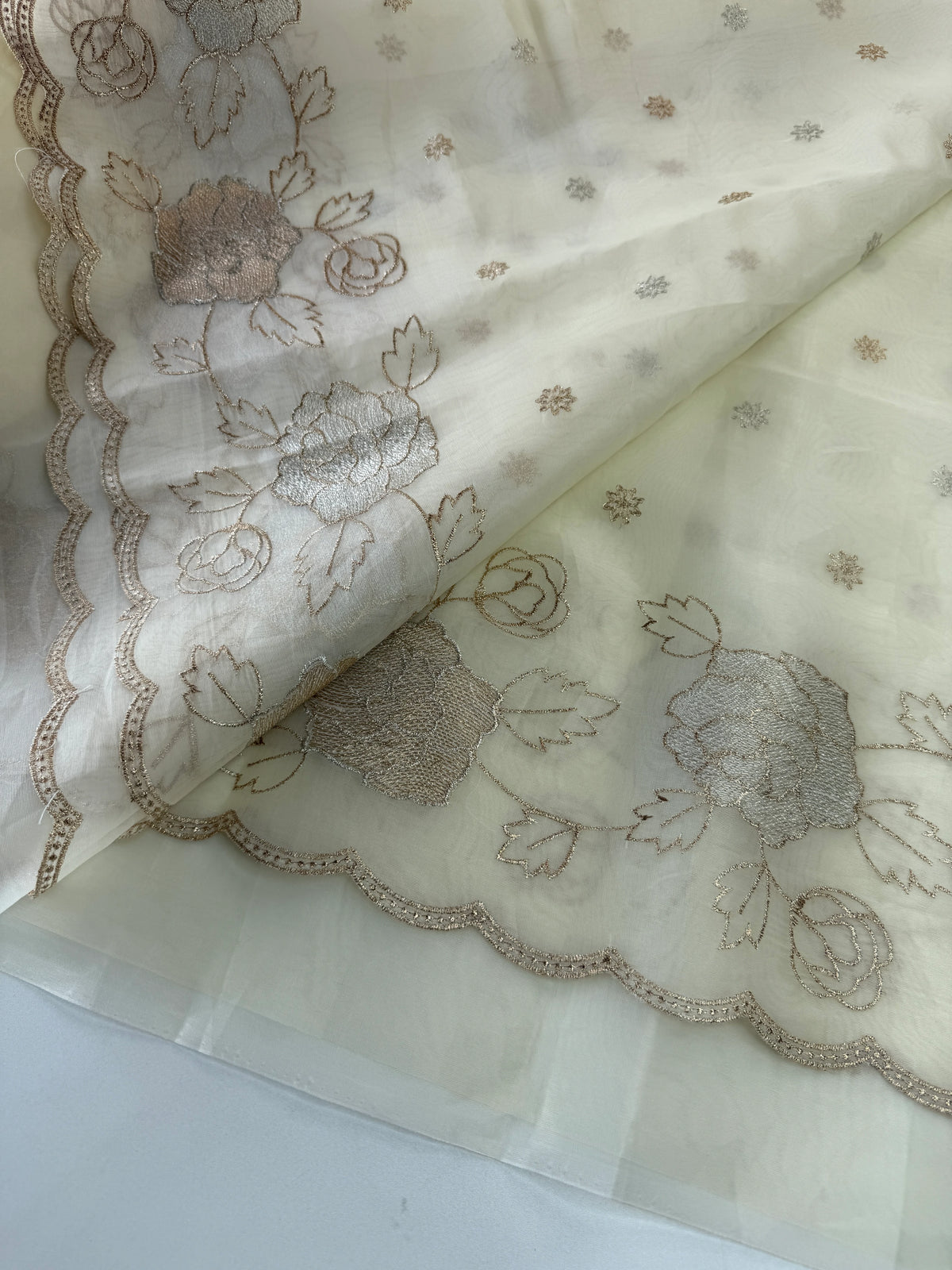 organza saree/ SS100