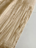 Crushed Organza Saree/ AM118