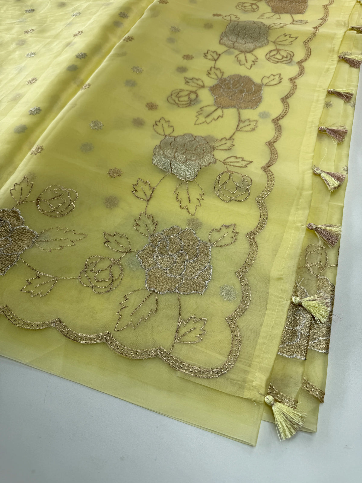 organza saree/ SS100
