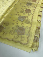 organza saree/ SS100