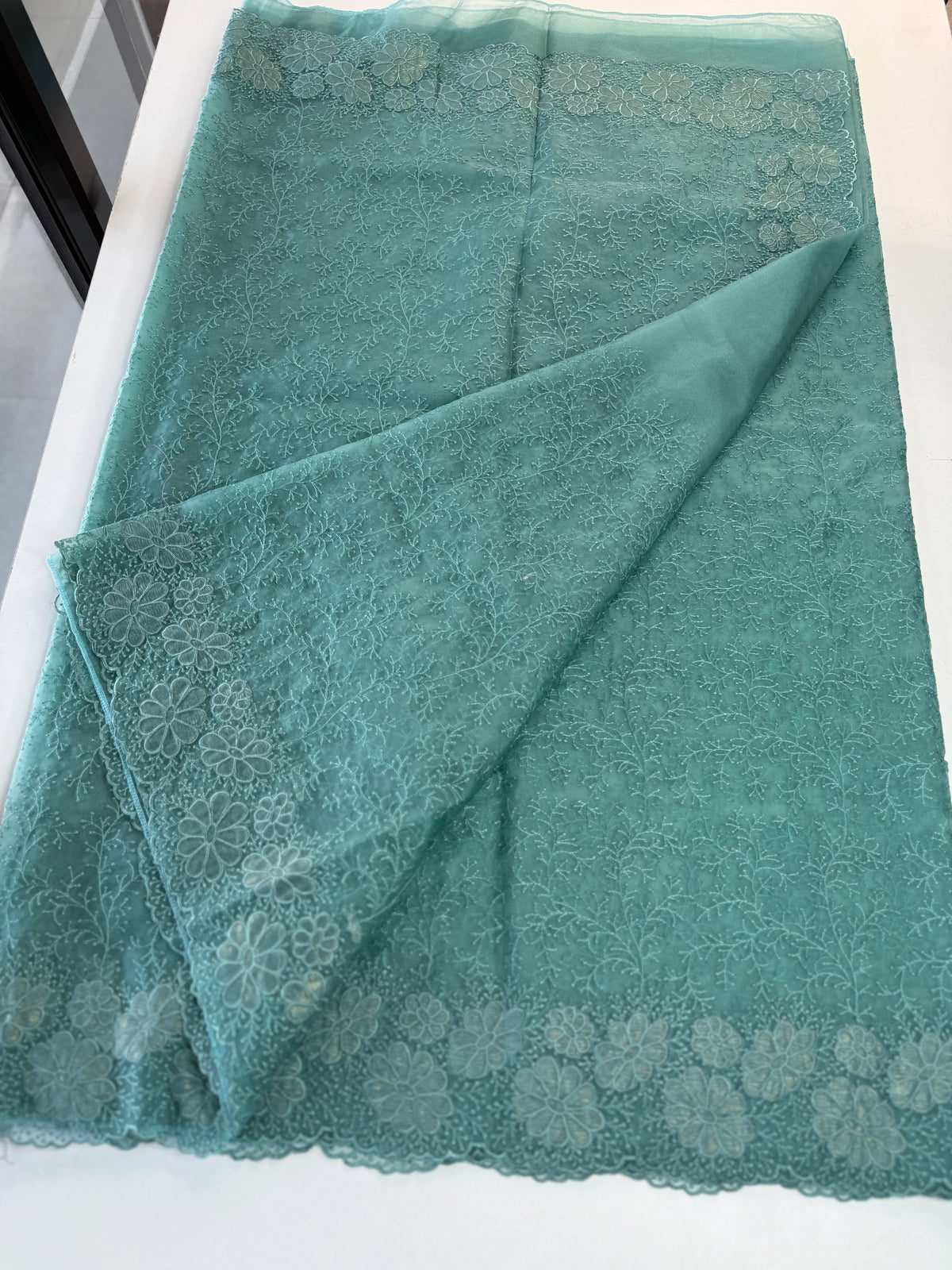 Organza Saree/ CW436